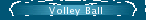 Volley Ball